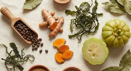 Composizione artistica degli ingredienti naturali di +Forma: semi di griffonia, radice di curcuma, alga wakame e garcinia su sfondo chiaro